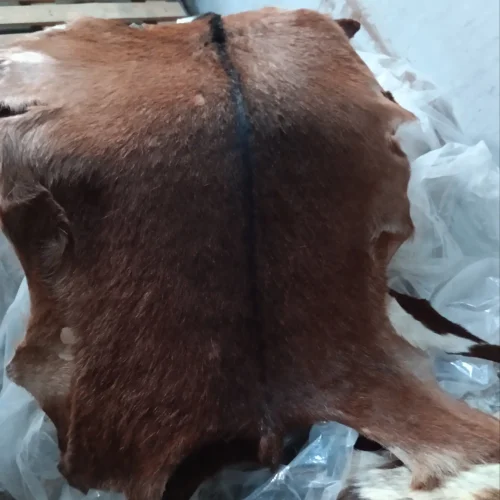 پوست گوسفند بزی دباغی شده