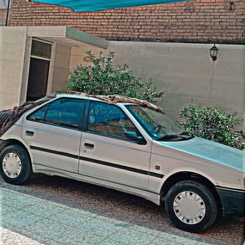 سواری/پژو روا