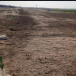 فروش فوری زمین باغ شهری در وحدتیه.