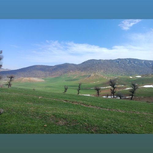 اجاره خانه مسافر قلعه قافع بالا