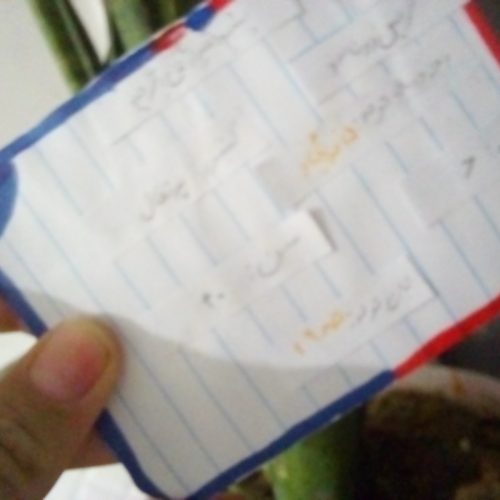 کاردستی و رونالدو