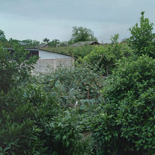 خانه ویلایی .. خونه باغ .