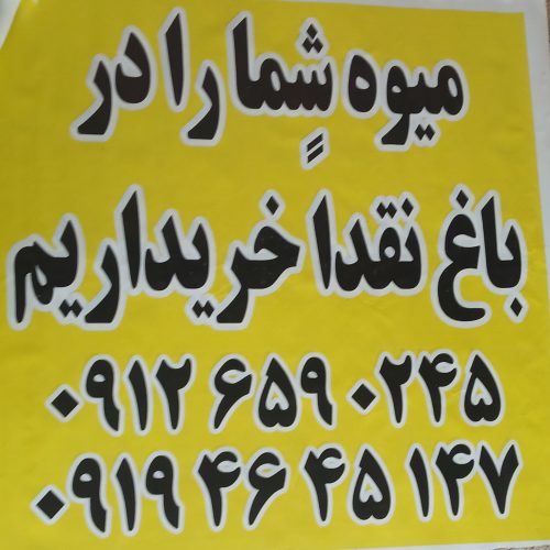 خریدار میوه سردرختی