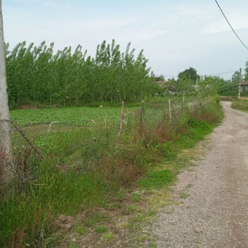 زمین با کاربری مسکونی