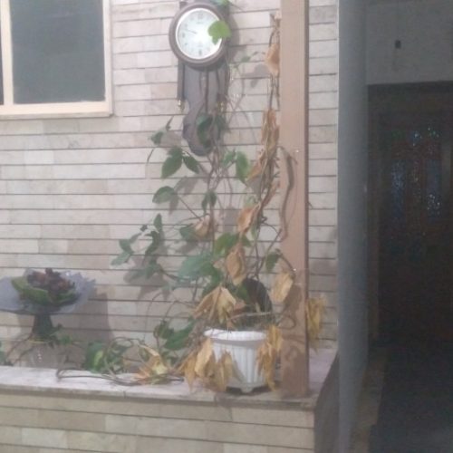 اجاره روزانه کوتاه مدت آپارتمان و سوئیت