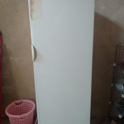 یخچال و فریزر