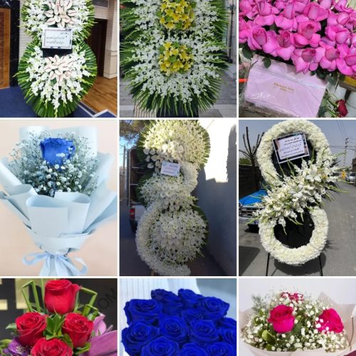 گل فروشی دنیز