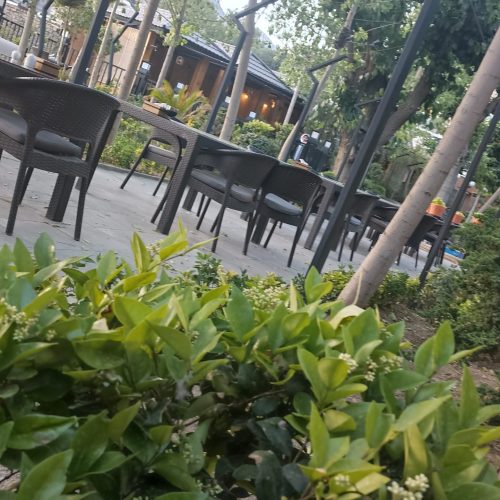 کار در تهران