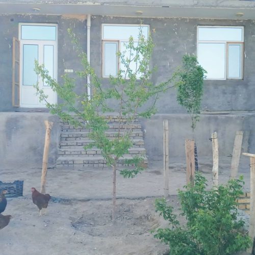 خانه ویلای