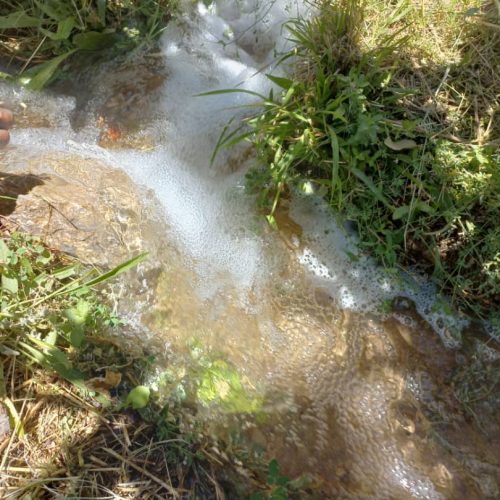 فروش یک قطعه باغ در روستای کوخدان