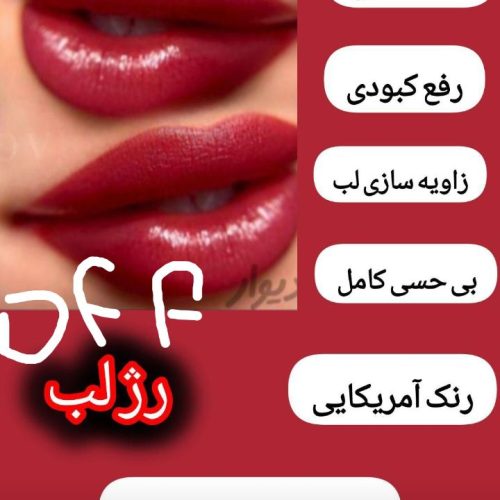 متخصص تاتو و شیدینگ لب و ابرو حتی سیار