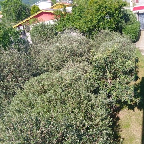 ویلای دوطبقه لوکس ، سند ثبتی