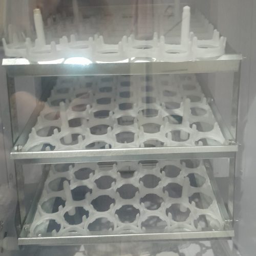 دستگاه 120 جوجه کشی اتوماتیک آک یکسال گارانتی