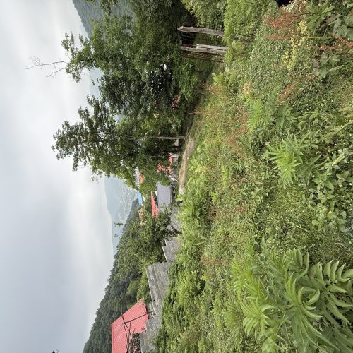 فروش زمین250متری