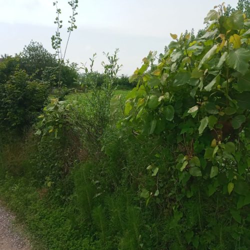 زمین با کاربری مسکونی