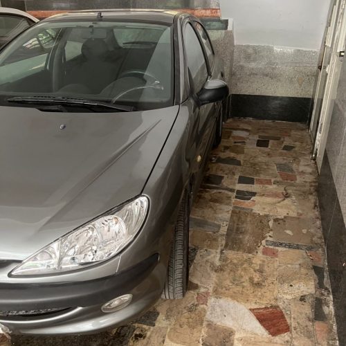 استثنایی ترین206