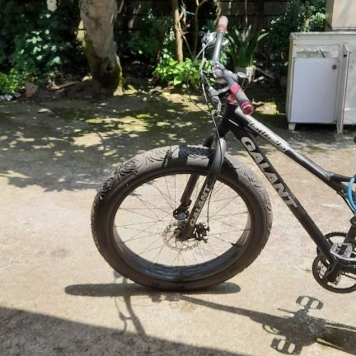 دوچرخه ساحلی