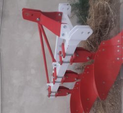 کوتان،چیزل،مرزکش