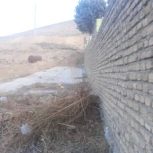 زمین