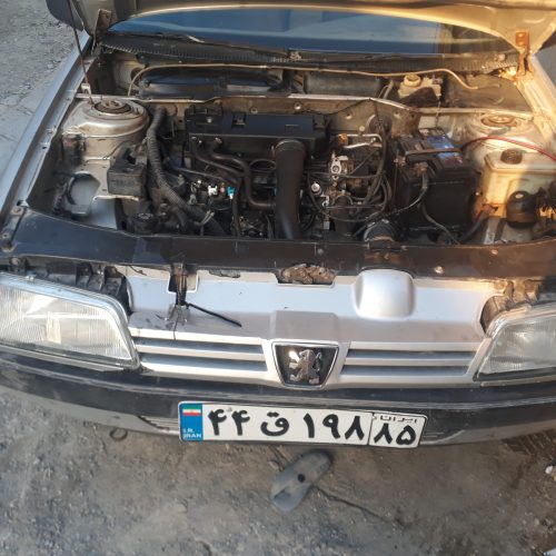 مانیفول و سوزنک پژو فرانسوی