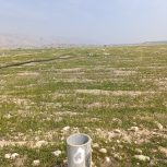 زمین کشاورزی دربهبهان
