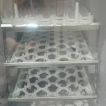 دستگاه 120 جوجه کشی اتوماتیک آک یکسال گارانتی