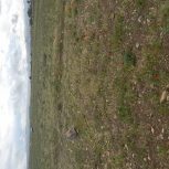 فروش زمین کشاورزی حاصل خیز