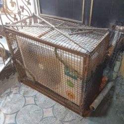 جوشکارسیار