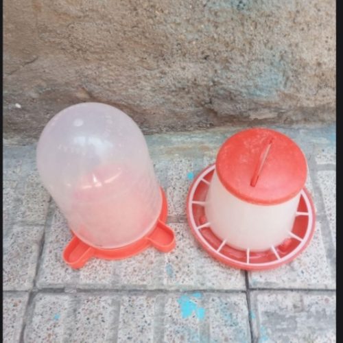قفس چوبی