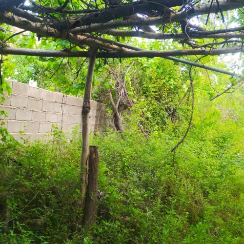 فروش باغ بهترین موقیعت درسنگ فرش دلفارد