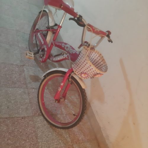 دوچرخه دخترانه