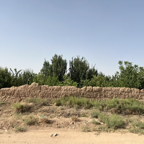 باغ با درختان میوه با یک ساعت آب چاه سرو