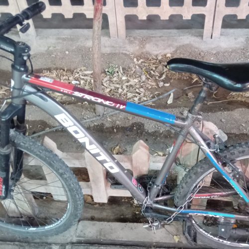 دوچرخه 26 بونیوتو