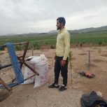 چاه کن افغانی