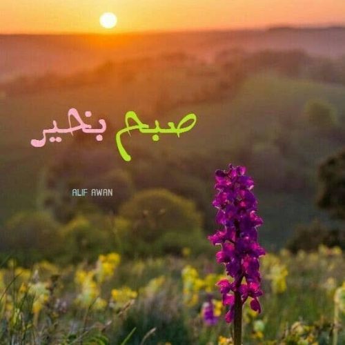 فروش موتوړ سیکلت