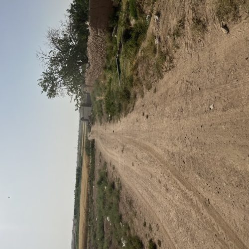 باغ با درختان میوه با یک ساعت آب چاه سرو