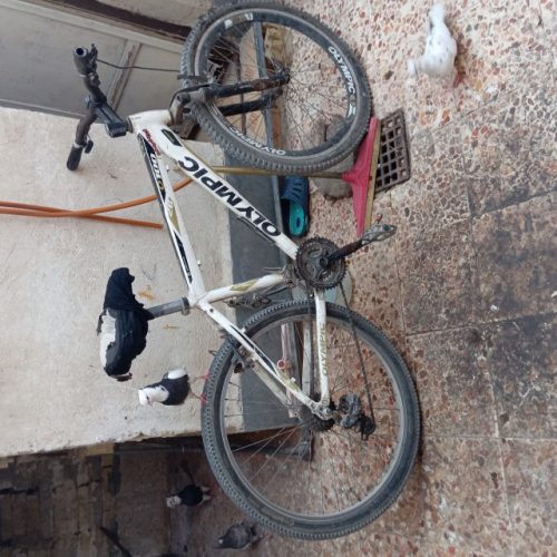 دوچرخه سالم