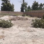 فوروشی زمین