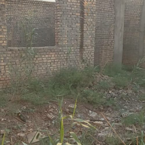 واقع در قلعه چنعان