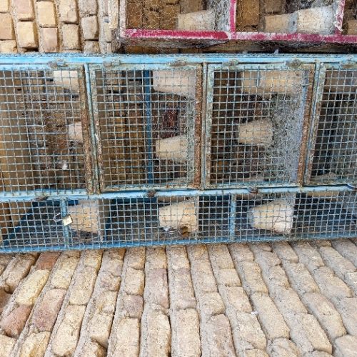 باسلام خدمت دوستان