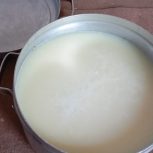 روغن بز و کشک قلعه رعیسی