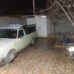 محمدعلي پهلوان اوایل رجایی ۸