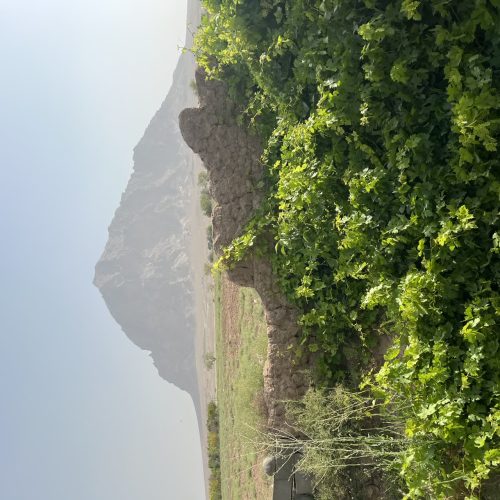 باغ با درختان میوه با یک ساعت آب چاه سرو