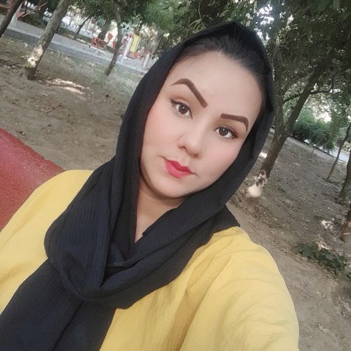 دنبال کار میگردم