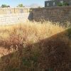 فروش زمین مسکونی
