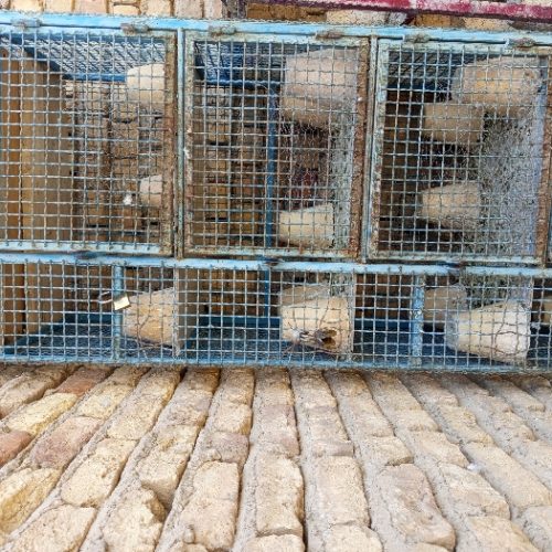 باسلام خدمت دوستان