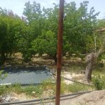 فروش باغ در فاروق