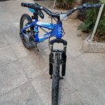 دوچرخه لکسوس اصل