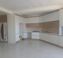 نگین‌پردیسان‌