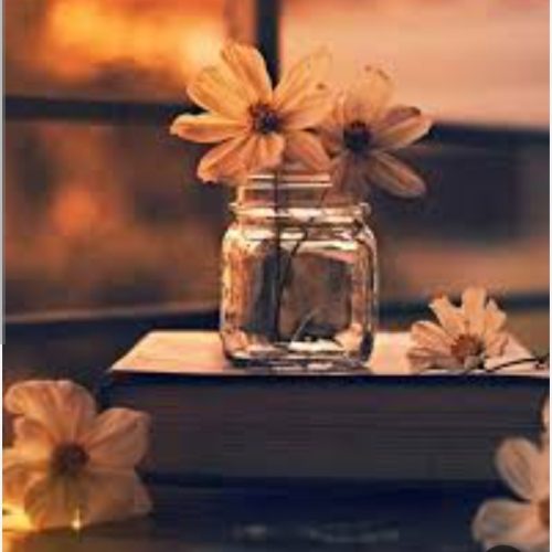 نظافت ساختمان ویلا باغ اداری و….